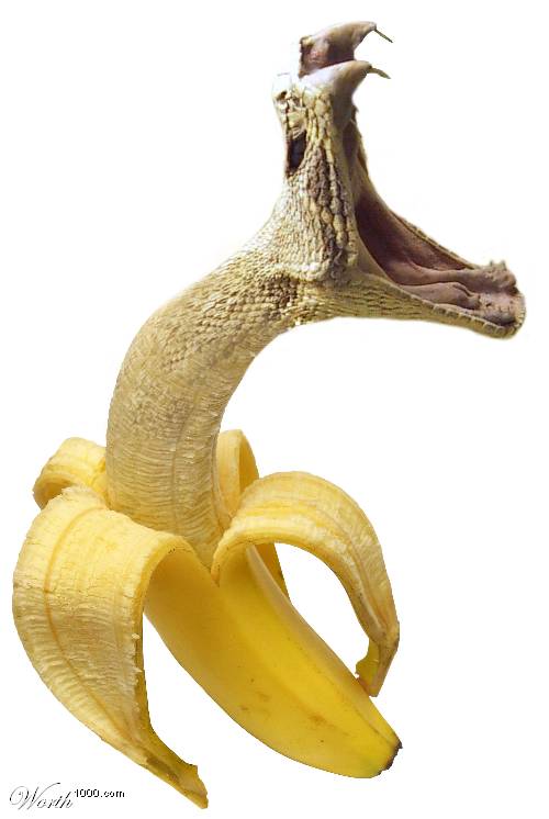 (1000)2