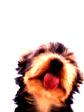 52b284d825_5594523_o2