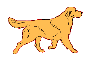 7883d7f04f_11599015_o2