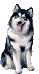 9322b04966_2709384_o2