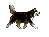 c180b1c80c_2709393_o2