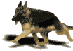 cd0e458f89_2709361_o2