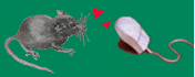 maus_21_wie_echte_maus_und_pc_maus