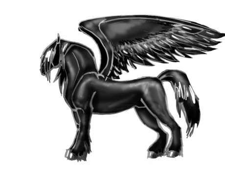 BlackPegasus