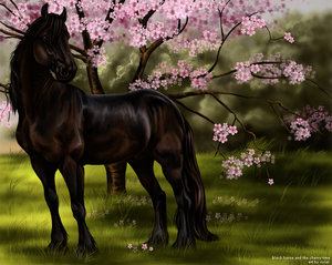 Black_Horse___The_Cherry_Tree_by_Nylak