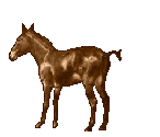 da32a5cbb0_18210697_o2