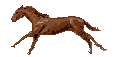 wwwwwwwwwwwwwwww