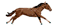 oooooooooooooooooooooooooooo