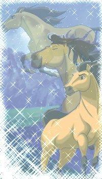 3cc51af24f_4709716_o2