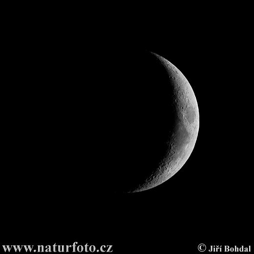 (720)mesic-4639