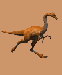 (1015)dinosaur13