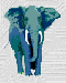 Elefante_08