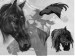 (281)Horses_by_Israil.png