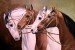 (282)Horses_by_radina